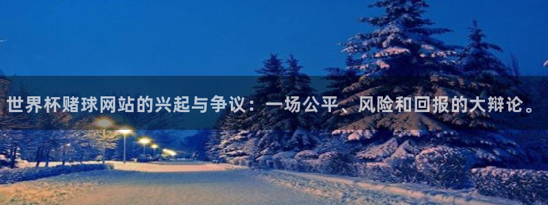 足球世界杯:世界杯赌球网站的兴起与争议:一场公平、风险和回报的大辩论。