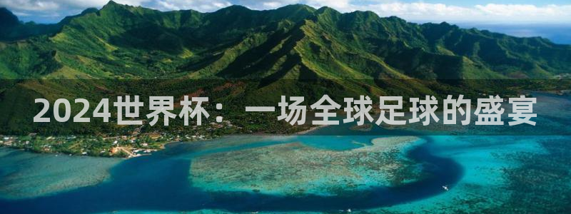 女足世界杯赛程:2024世界杯:一场全球足球的盛宴