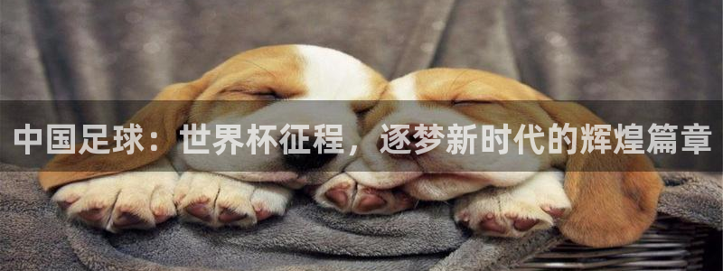 2026世界杯亚洲区预选赛:中国足球:世界杯征程,逐梦新时代的辉煌篇章