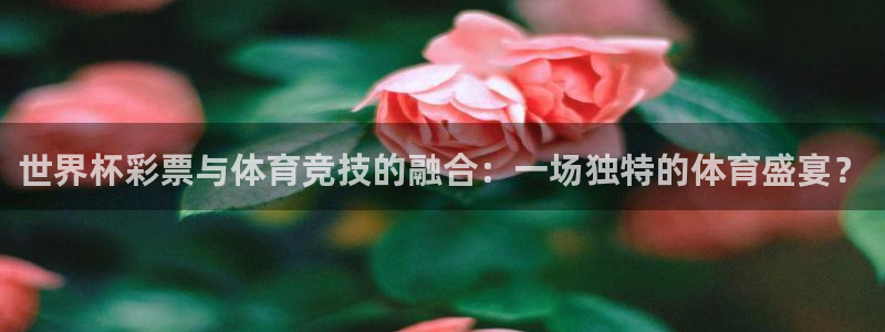 足球世界杯时间:世界杯彩票与体育竞技的融合:一场独特的体育盛宴?