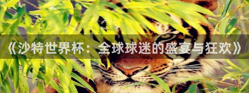 2026世界杯赛制:《沙特世界杯:全球球迷的盛宴与狂欢》
