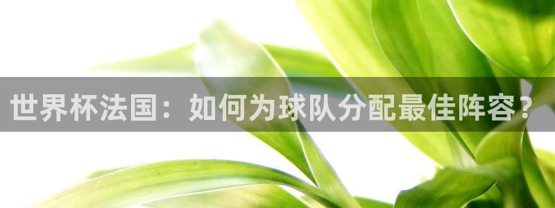 世界杯预选赛直播:世界杯法国:如何为球队分配最佳阵容?